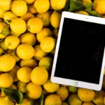 Imagen de iPad vs Samsung Galaxy Tab S9: ¿cuál tablet comprar en Estados Unidos?